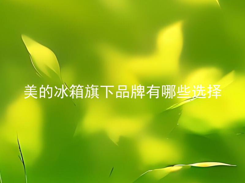 美的冰箱旗下品牌有哪些选择 美的冰箱旗下品牌都有哪些特点区别？