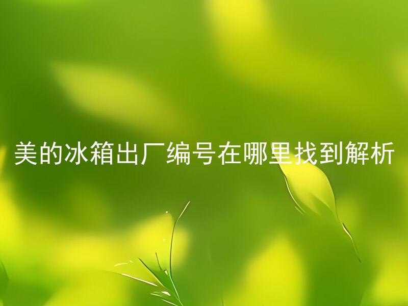 美的冰箱出厂编号在哪里找到解析 美的冰箱出厂编号的作用是什么，该如何正确解析？