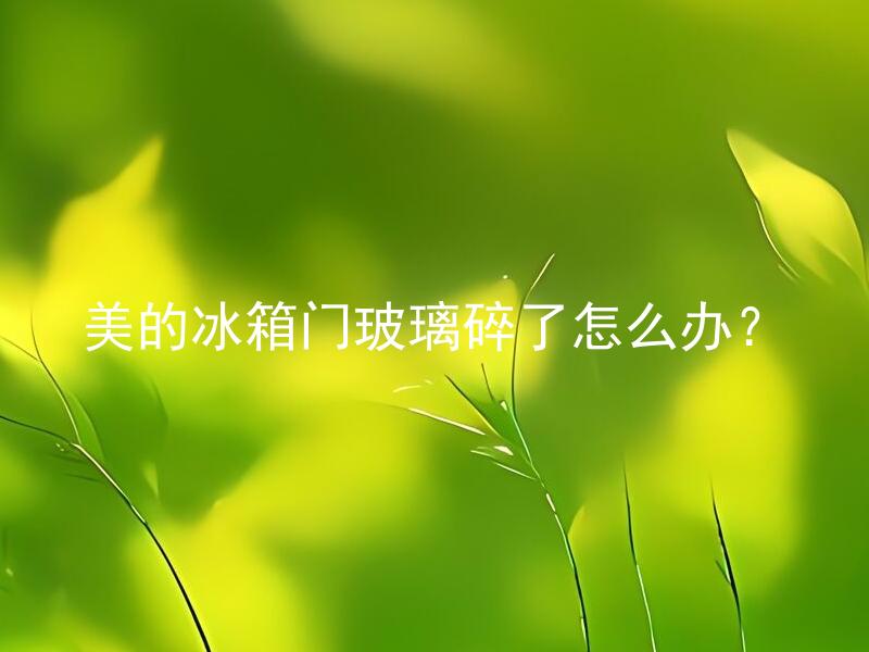 美的冰箱门玻璃碎了怎么办？ 美的冰箱门玻璃可以淘汰吗？