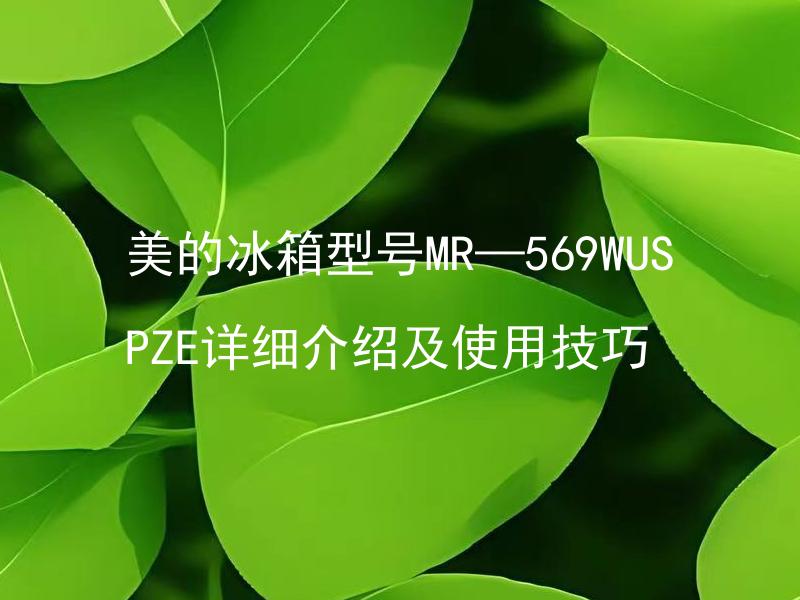 美的冰箱型号MR—569WUSPZE详细介绍及使用技巧