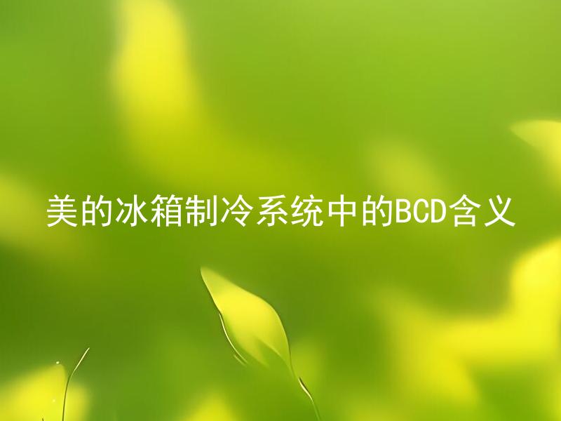 美的冰箱制冷系统中的BCD含义 美的冰箱制冷系统中的BCD如何设置？