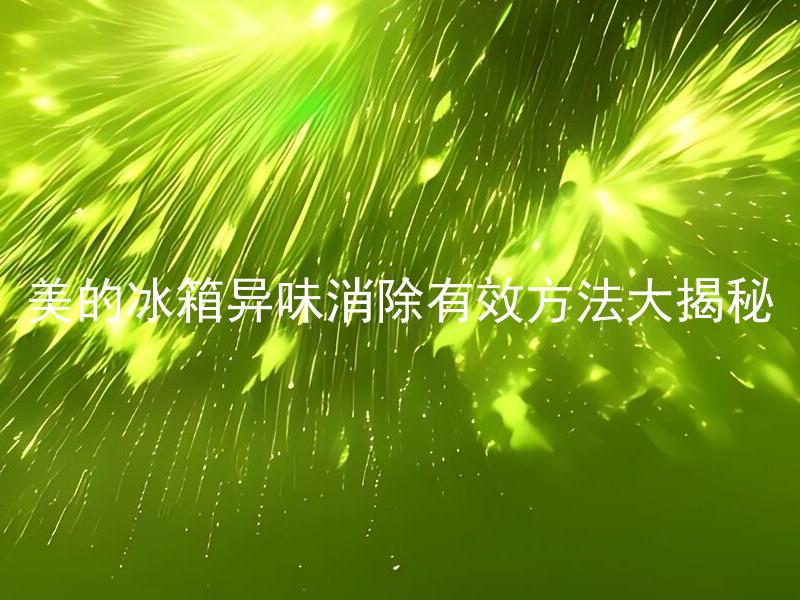 美的冰箱异味消除有效方法大揭秘 怎样有效消除美的冰箱异味？