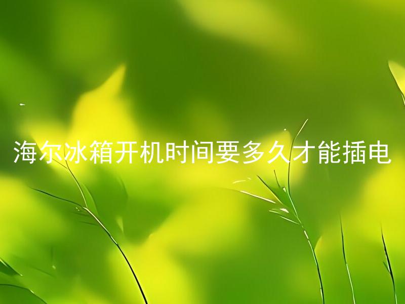 海尔冰箱开机时间要多久才能插电 插电前需要注意哪些海尔冰箱开机细节？