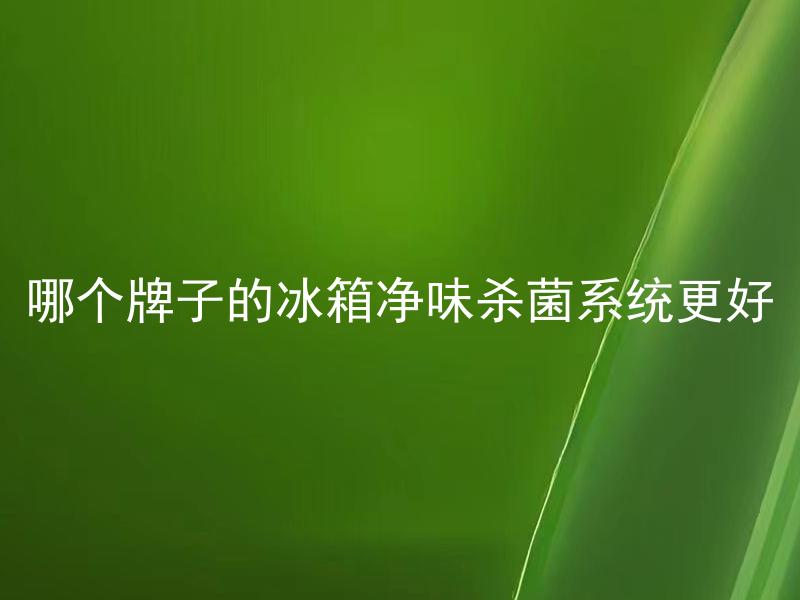 哪个牌子的冰箱净味杀菌系统更好 冰箱净味杀菌系统究竟能不能真正有效清除冰箱异味和细菌？