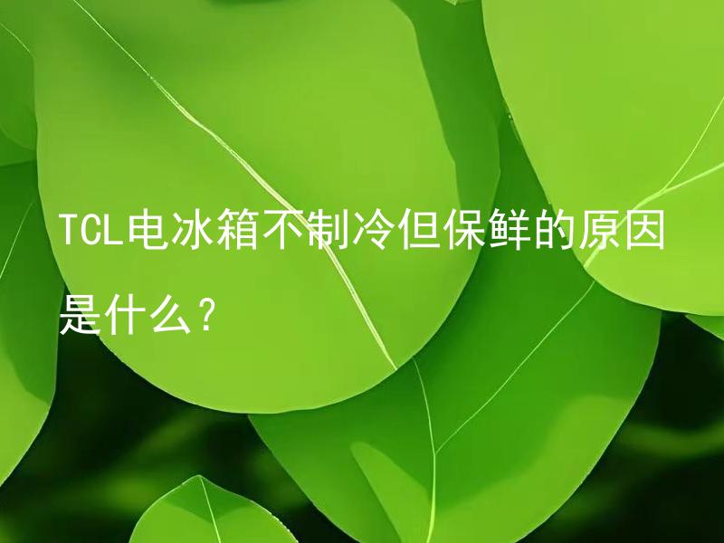 TCL电冰箱不制冷但保鲜的原因是什么？ TCL电冰箱不制冷但保鲜，该如何尝试自行维修？