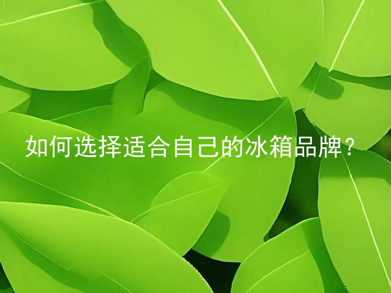 如何选择适合自己的冰箱品牌？ 冰箱的保温层有哪些类型，如何选择适合自己的保温层？