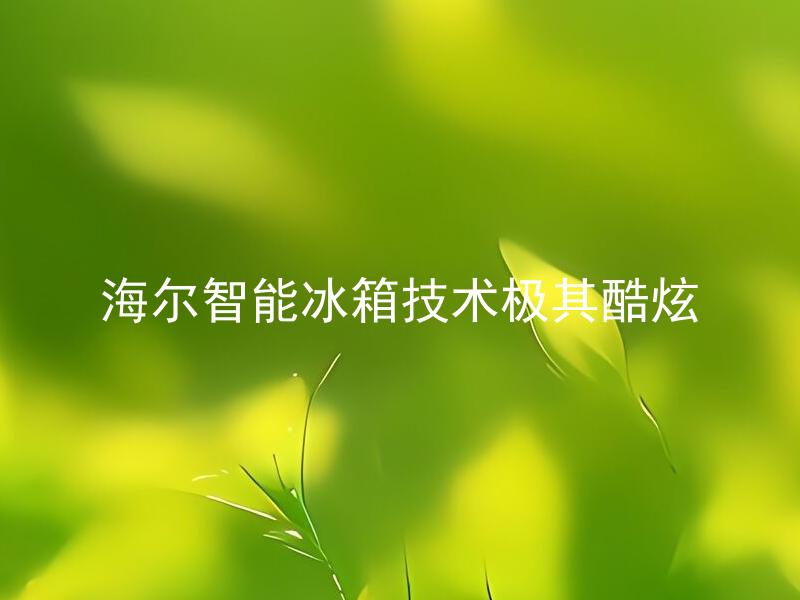 海尔智能冰箱技术极其酷炫 海尔智能冰箱还有哪些先进的技术和功能？