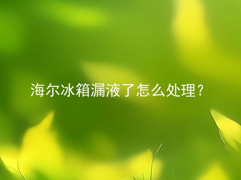 海尔冰箱漏液了怎么处理？ 海尔冰箱漏水了应该如何应对？