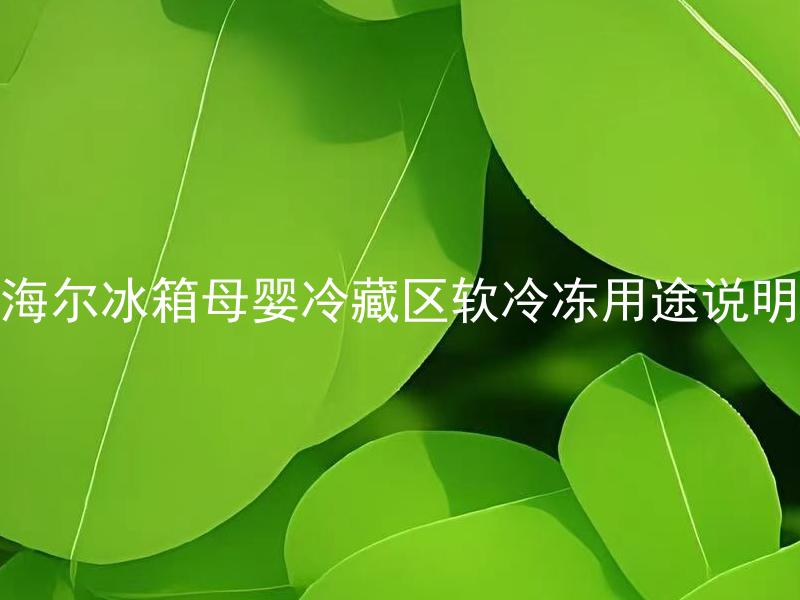 海尔冰箱母婴冷藏区软冷冻用途说明 海尔冰箱母婴冷藏区可以存放什么，同时软冷冻有哪些优势？