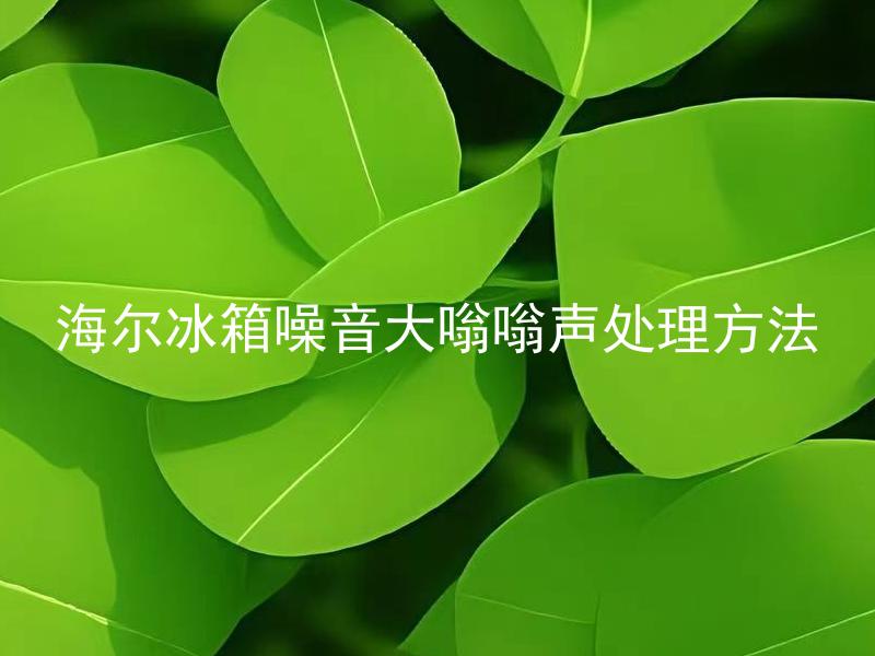 海尔冰箱噪音大嗡嗡声处理方法 海尔冰箱噪音大是什么原因引起的？如何降低噪音？