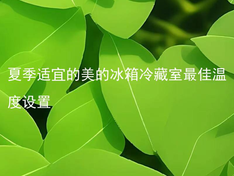 夏季适宜的美的冰箱冷藏室最佳温度设置 夏季最佳温度设置对冷藏食物有哪些影响？