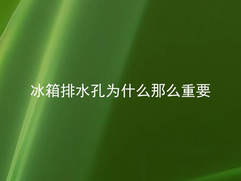 冰箱排水孔为什么那么重要 冰箱排水孔堵了会有什么后果？