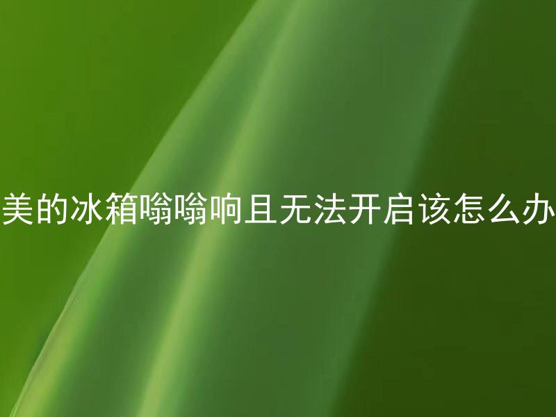 美的冰箱嗡嗡响且无法开启该怎么办 美的冰箱嗡嗡响且无法开启是由什么原因造成的？