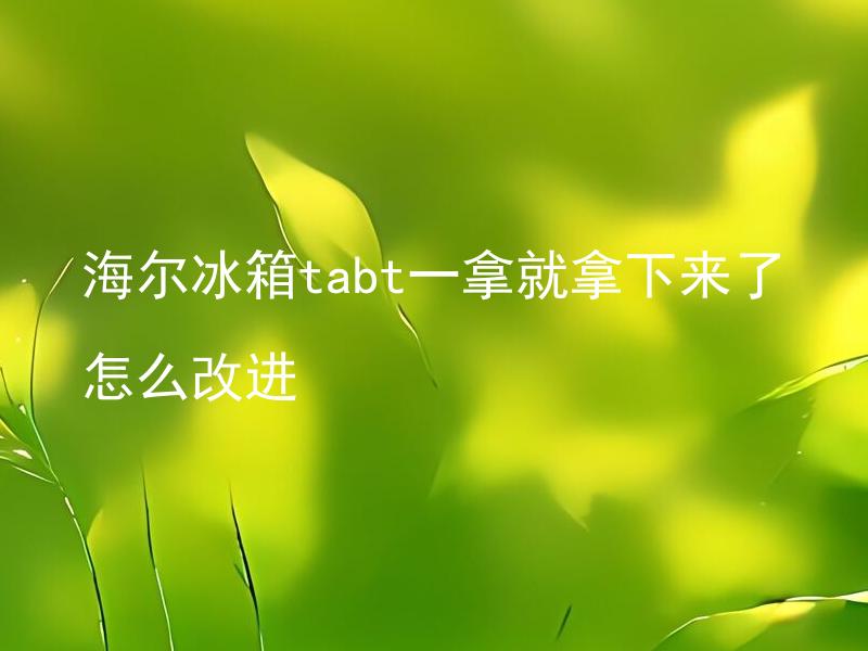 海尔冰箱tabt一拿就拿下来了怎么改进 海尔冰箱tabt掉落是什么原因造成的，有哪些解决方法？