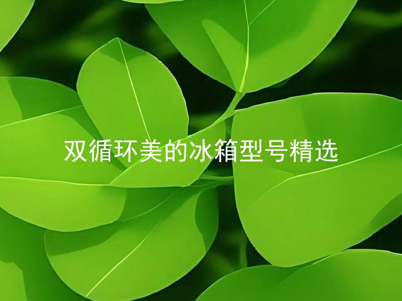 双循环美的冰箱型号精选 双循环美的冰箱型号精选有哪些特色功能？