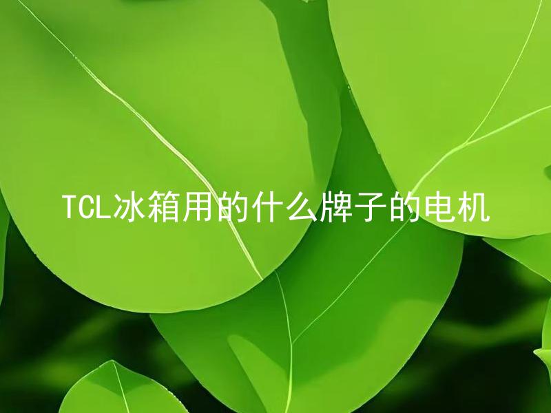 TCL冰箱用的什么牌子的电机 TCL冰箱电机维修需要专业技能吗？