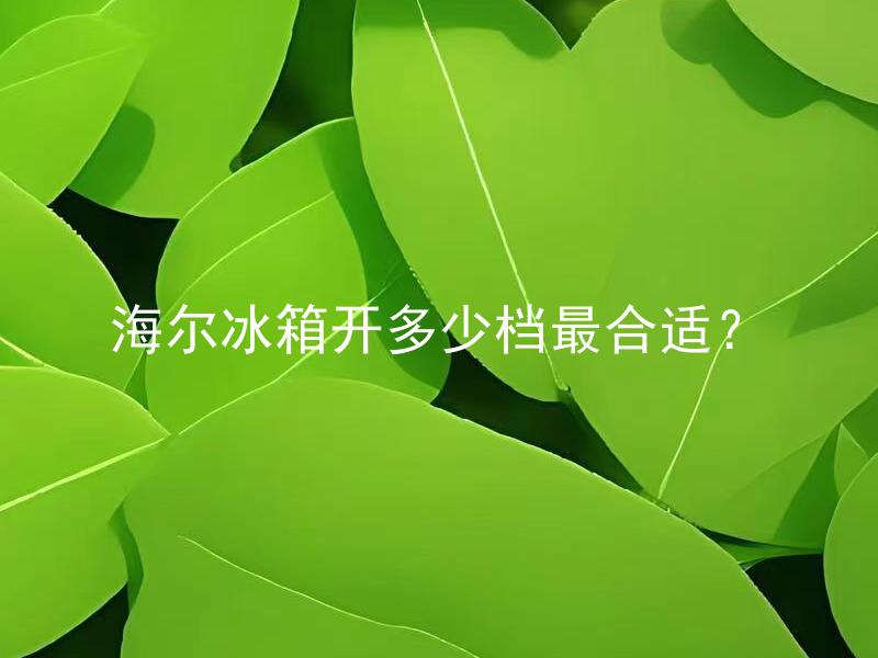 海尔冰箱开多少档最合适？ 海尔冰箱不同档位对食材冷藏效果有何影响？