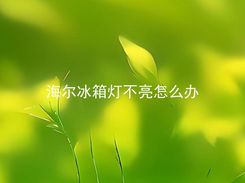海尔冰箱灯不亮怎么办 海尔冰箱灯不亮是否影响制冷效果？
