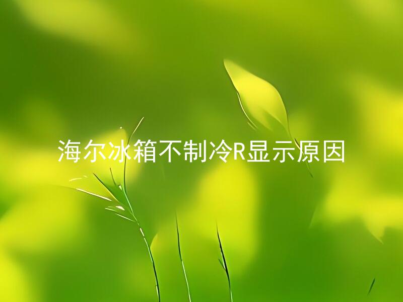 海尔冰箱不制冷R显示原因 海尔冰箱不制冷R显示原因有哪些可能性？