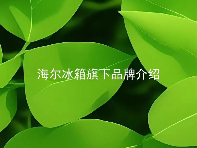 海尔冰箱旗下品牌介绍 海尔冰箱旗下品牌有哪些，各有什么特点？