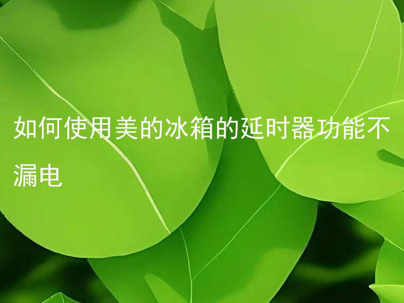 如何使用美的冰箱的延时器功能不漏电 美的冰箱的延时器如何设置才能不漏电？