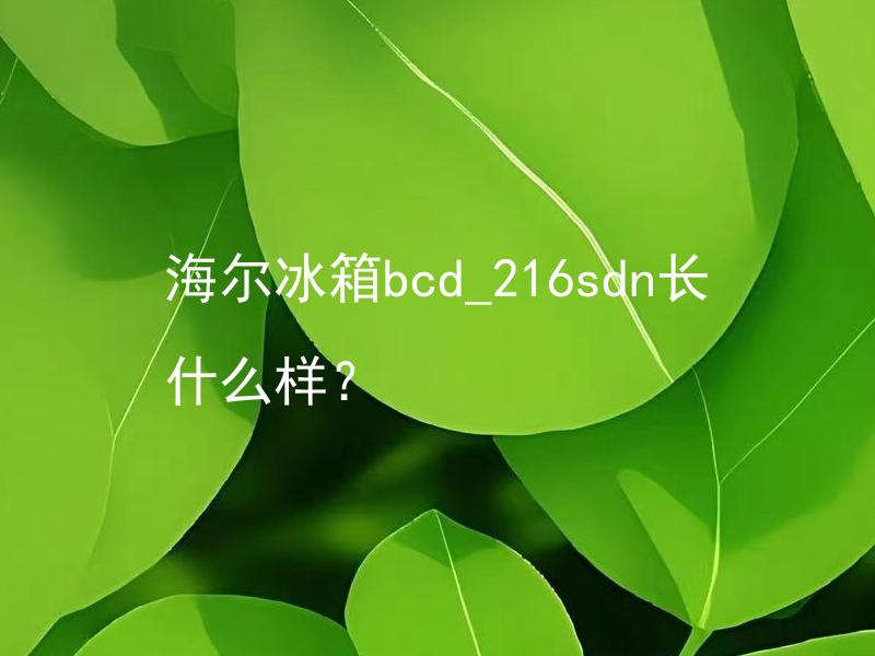 海尔冰箱bcd_216sdn长什么样？ 海尔冰箱bcd_216sdn内部结构如何？