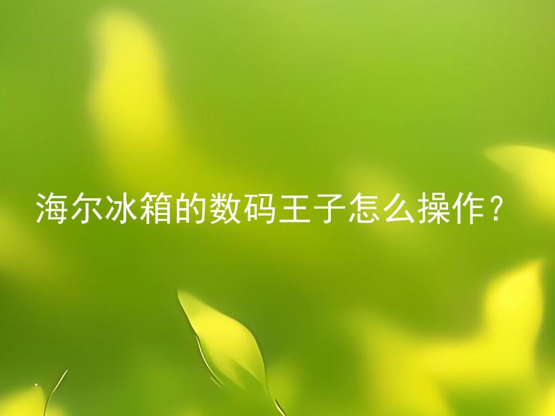 海尔冰箱的数码王子怎么操作？ 海尔冰箱数码王子有哪些实用功能？