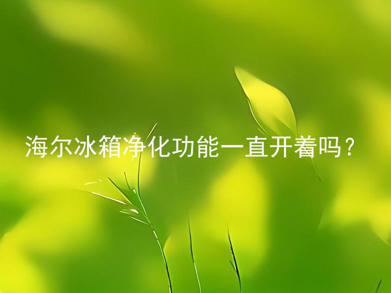 海尔冰箱净化功能一直开着吗？ 海尔冰箱的净化功能会一直开着吗有什么坏处吗？