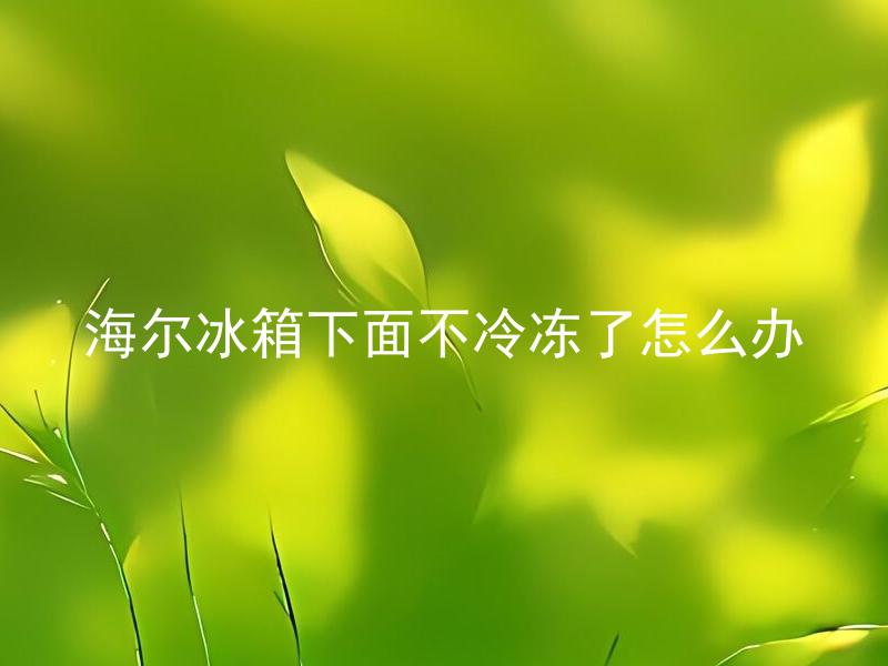 海尔冰箱下面不冷冻了怎么办 海尔冰箱下面不冷冻了是否意味着整个冰箱都失去了作用？
