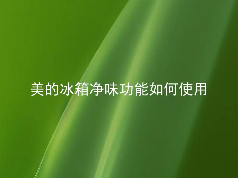 美的冰箱净味功能如何使用 美的冰箱净味功能能除去哪些异味？