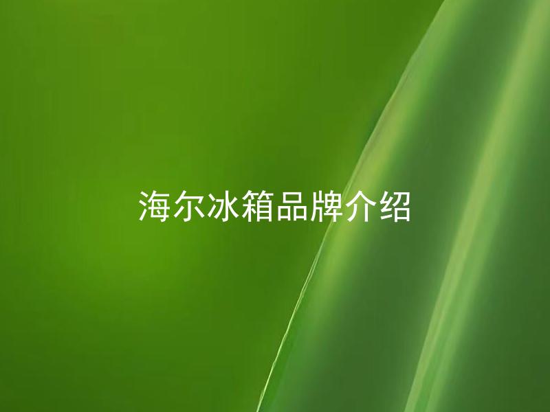 海尔冰箱品牌介绍 海尔冰箱的价格怎么样？