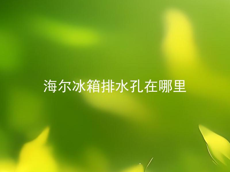 海尔冰箱排水孔在哪里 海尔冰箱的排水孔是怎样的设计，并该如何进行有效清洁？