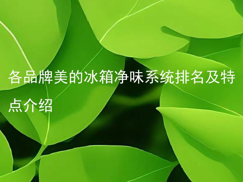 各品牌美的冰箱净味系统排名及特点介绍 美的冰箱净味系统有哪些类型及各自特点是什么？