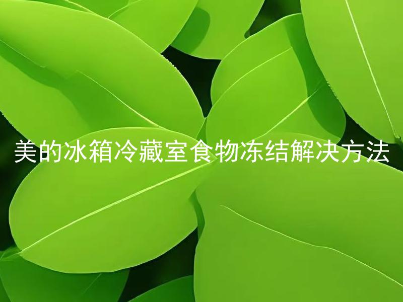 美的冰箱冷藏室食物冻结解决方法 美的冰箱冷藏室食物冻结如何避免？
