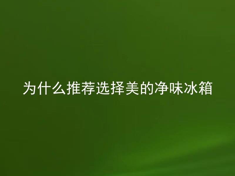 为什么推荐选择美的净味冰箱 美的净味冰箱和普通冰箱有什么不同之处？