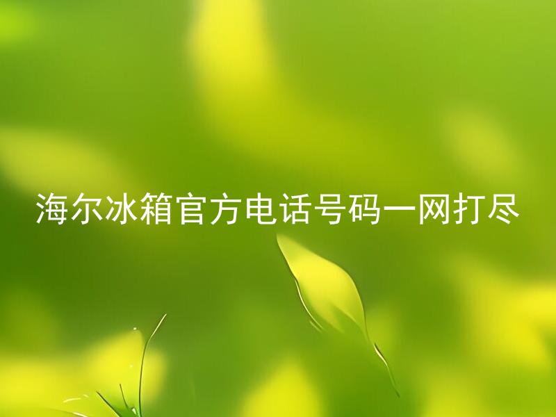 海尔冰箱官方电话号码一网打尽 除了官方电话号码，海尔冰箱售后服务有哪些支持方式？
