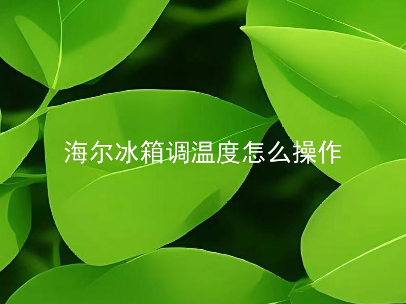 海尔冰箱调温度怎么操作 海尔冰箱需要多久调整一次温度？
