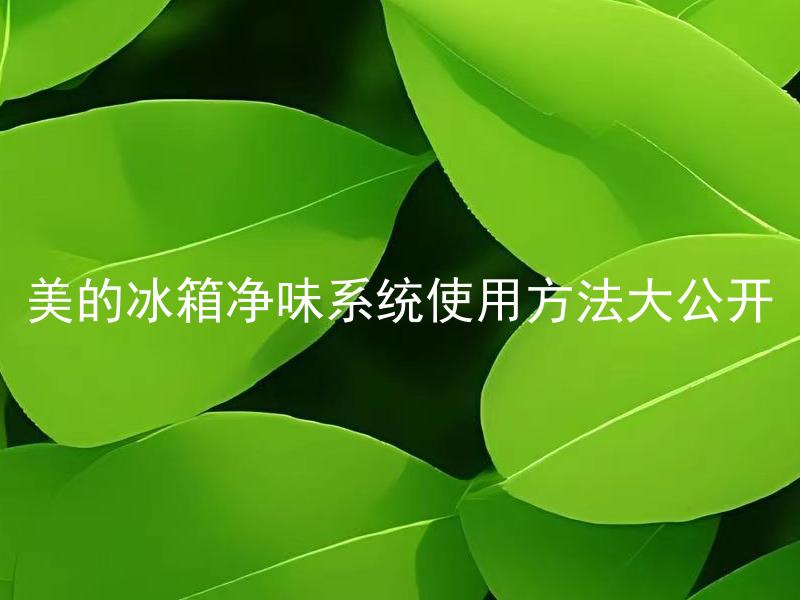 美的冰箱净味系统使用方法大公开 美的冰箱净味系统如何清洁和维护？