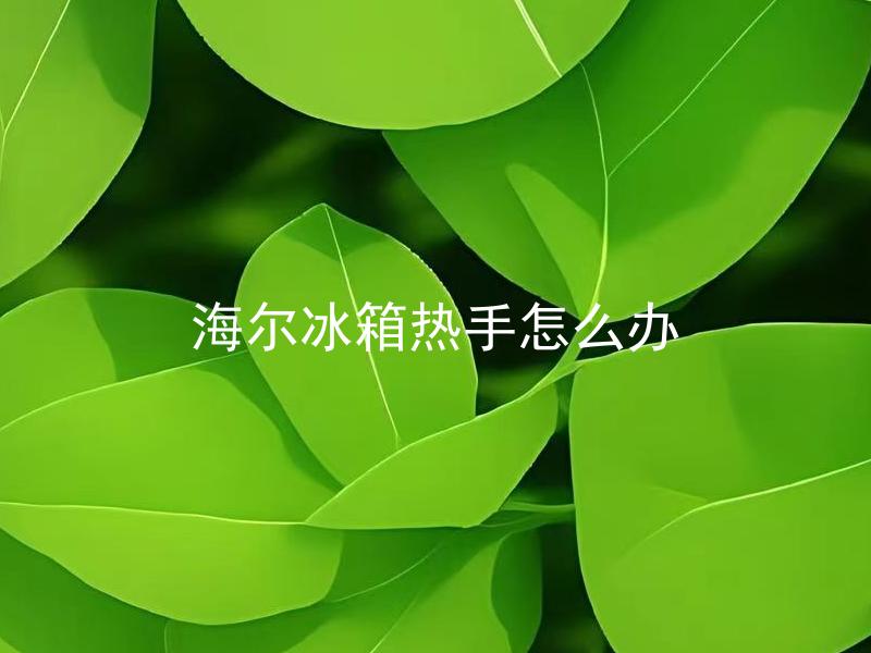 海尔冰箱热手怎么办 海尔冰箱热手怎么办？有哪些可能会导致这种状况的原因？