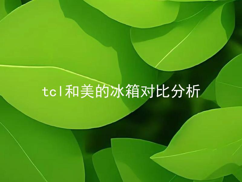 tcl和美的冰箱对比分析 tcl和美的冰箱有哪些区别和优缺点？