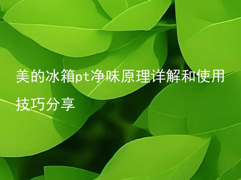 美的冰箱pt净味原理详解和使用技巧分享