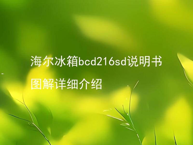 海尔冰箱bcd216sd说明书图解详细介绍