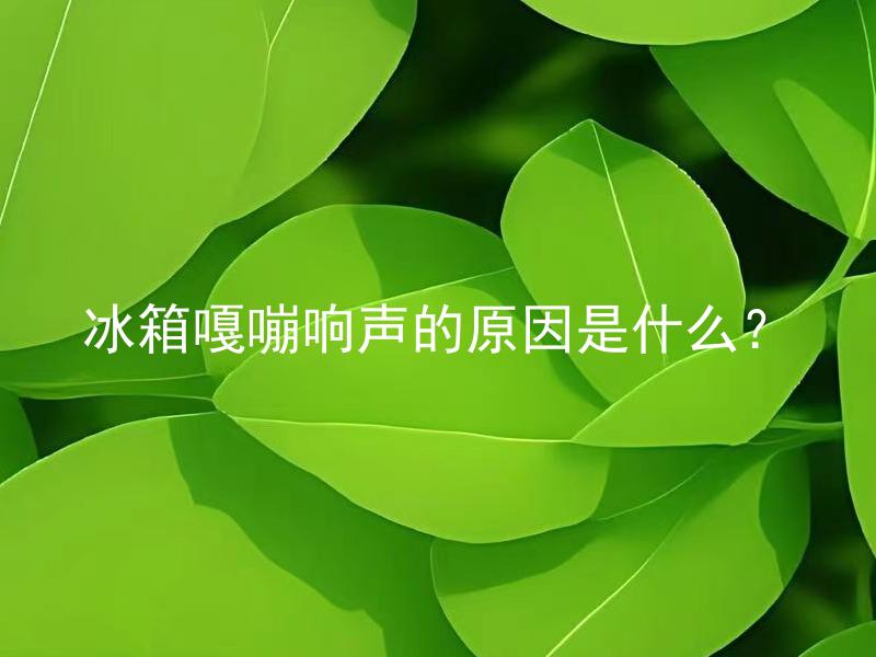 冰箱嘎嘣响声的原因是什么？ 冰箱嘎嘣响声怎么消除？