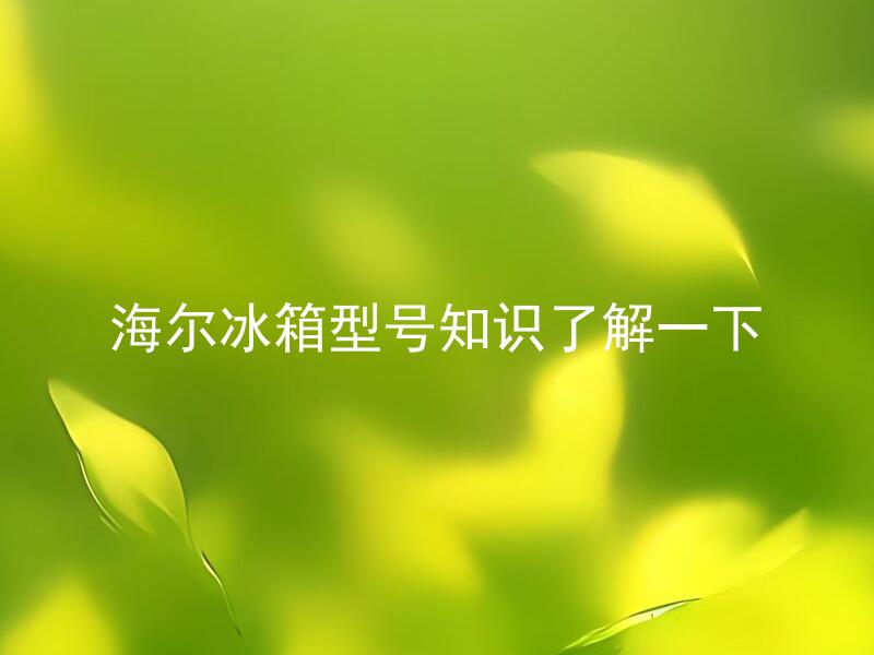 海尔冰箱型号知识了解一下 哪些方法能帮助了解海尔冰箱不同型号的区别？