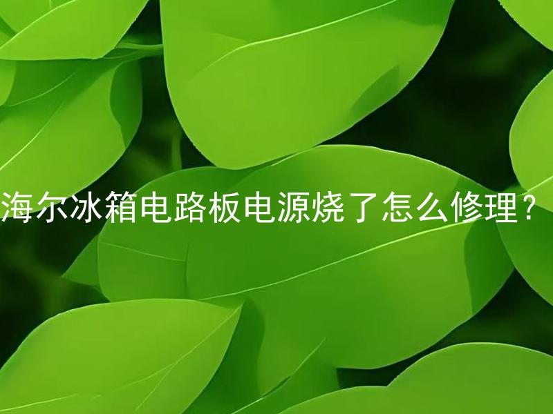 海尔冰箱电路板电源烧了怎么修理？ 海尔冰箱电路板电源烧了，需要更换吗？