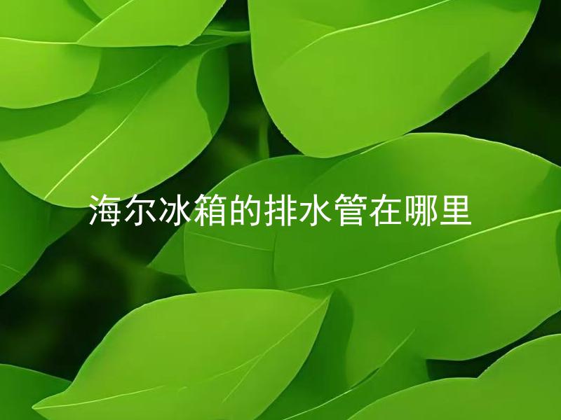 海尔冰箱的排水管在哪里 海尔冰箱排水管堵了怎么办？
