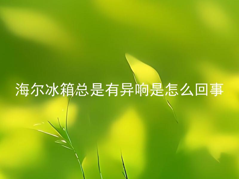 海尔冰箱总是有异响是怎么回事 海尔冰箱异响怎么消除？