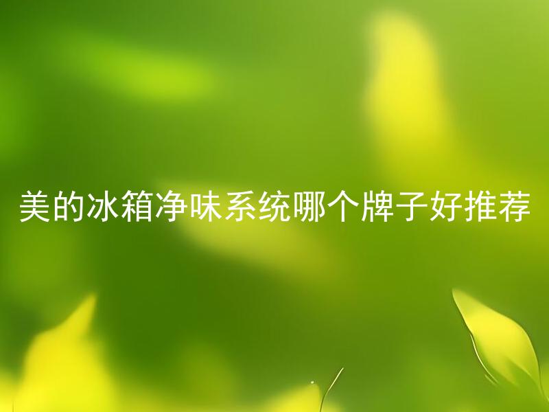 美的冰箱净味系统哪个牌子好推荐 除了美的冰箱净味系统，还有哪些品牌的冰箱净味效果好？