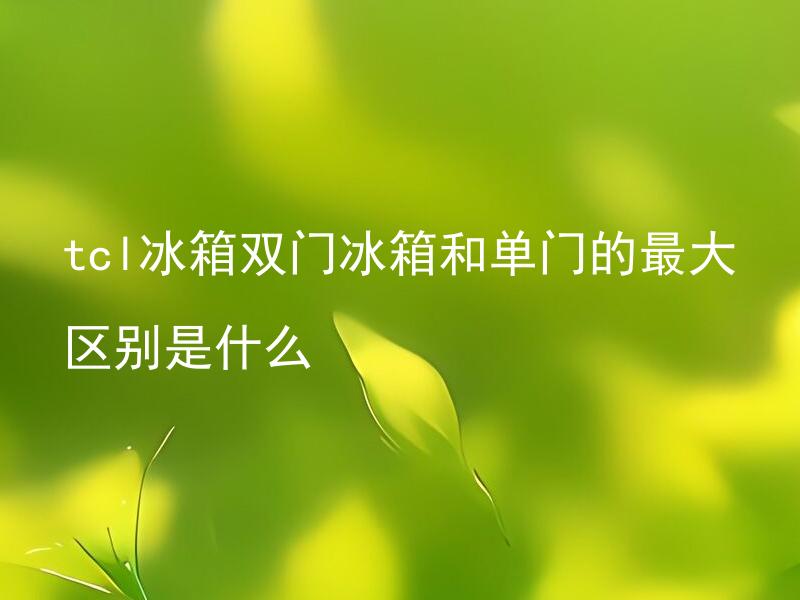 tcl冰箱双门冰箱和单门的最大区别是什么 tcl双门和单门冰箱各自适合什么样的家庭使用？