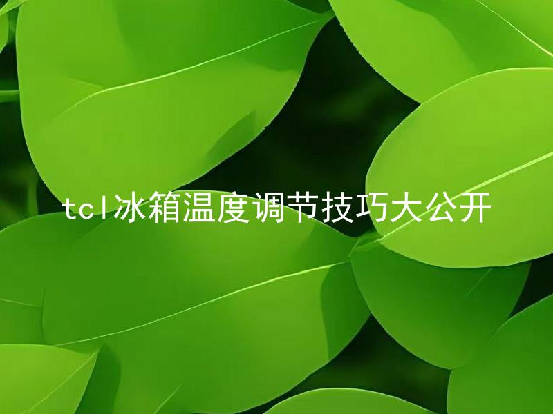 tcl冰箱温度调节技巧大公开 tcl冰箱应该如何进行温度调节以保证食物品质和安全？